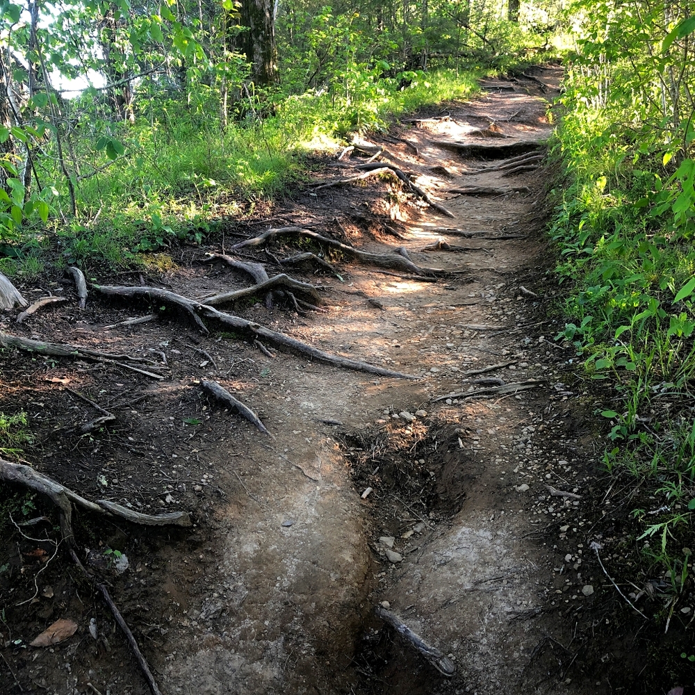 Meet your Posher, Iwona